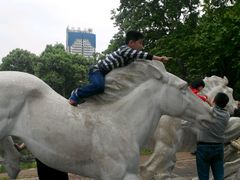 android_upload_pic-解放公园