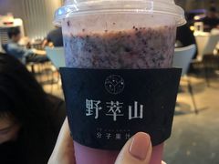 -野萃山·潮汕厚果汁(十亩地店)