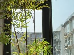 -三只耳冷锅鱼火锅(玉林店)