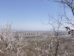 -北京鹫峰国家森林公园