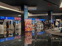 -奥斯卡升龙国际影城(RealD Cinema)