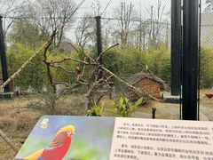 -武汉动物园