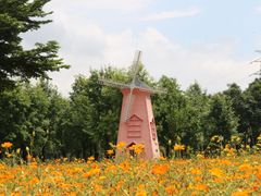 -顺峰山公园