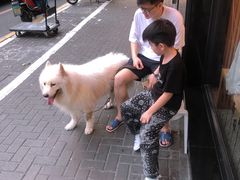 -Dal Cuore 达可芮冰淇淋(陕西北路店)
