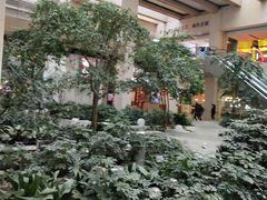 -梨花牛肉汤饭(仁恒伊势丹店)