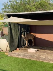 -小蜜蜂农场(凯德七宝购物广场店)