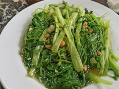 -乌文新澄海卤鹅店