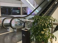 -天虹超市(大西洋店)