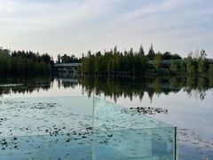 -白鹭湾湿地公园