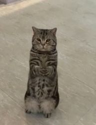 -幸运7纹身刺青Lucky7tattoo