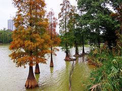 -星湖旅游景区七星岩