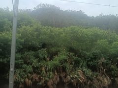 -惠阳站