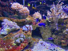 -石林冰雪海洋世界