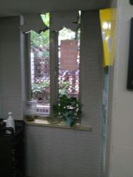 -新语丝专业美发沙龙