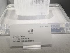 -湖南省地质博物馆