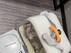 -半岛宠物医院24小时(西派城店)