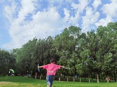 -长白岛森林公园