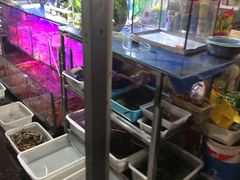-曲阳花鸟市场(曲阳路店)