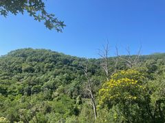 -北京鹫峰国家森林公园