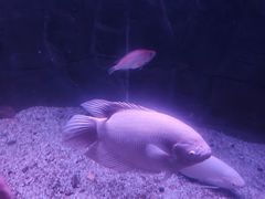 -蓬莱欧乐堡海洋极地世界