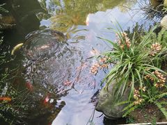 -成都杜甫草堂博物馆