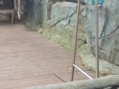-石燕湖生态旅游景区