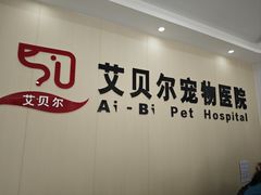 -艾贝尔宠物医院·宠保定点·超声绝育·免疫点(樱花路店)