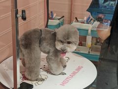-FAELING PETS美天灵宠物(合生汇店)