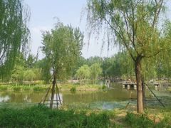 -东郊湿地公园