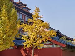 -大明幻境第一城