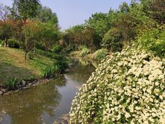-鹅湖玫瑰文化园