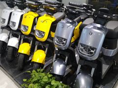 -雅迪电动车(北艾路店)