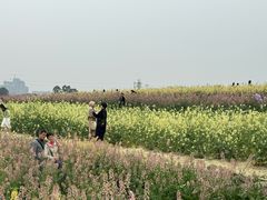 -三圣花乡旅游区