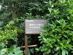 -阳台山森林公园