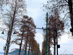 -东湖磨山景区