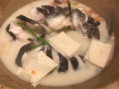 -云中鱼蒸汽石锅鱼(川沙百联店)