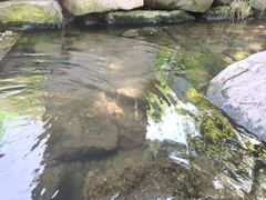 -重庆彩云湖湿地公园