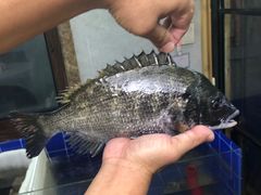 -阿杰臻选海鲜饭店(普陀山店)