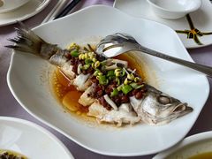 豉椒海鲈鱼-大蓉和(一品天下店)