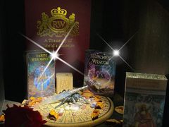 -雪灵魔法世界SHELLY’S TAROT(大良桂畔里店)