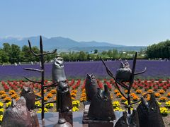 -富田农场
