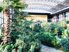 -郑州银基黄帝宫御温泉