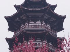 -洋湖国家湿地公园