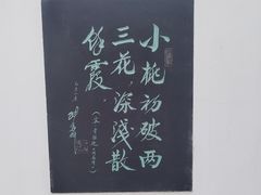 -桃花堤公园