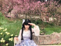 -秀丽东方
