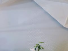-双风车咖啡馆 Twin Windmills(六道口店)