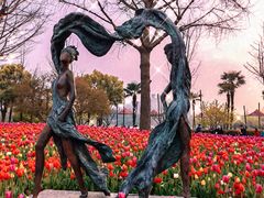 -大宁郁金香公园-停车场