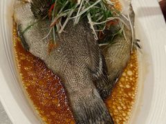 -南海渔村(珠江新城店)