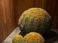 -明谷行馆·温泉
