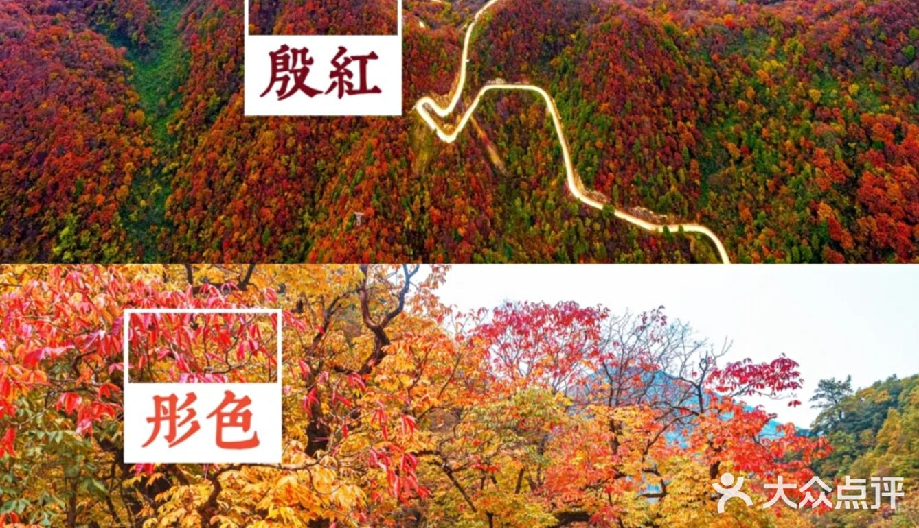 西安周边丨自驾秦岭红叶秘境,畅玩多彩之秋